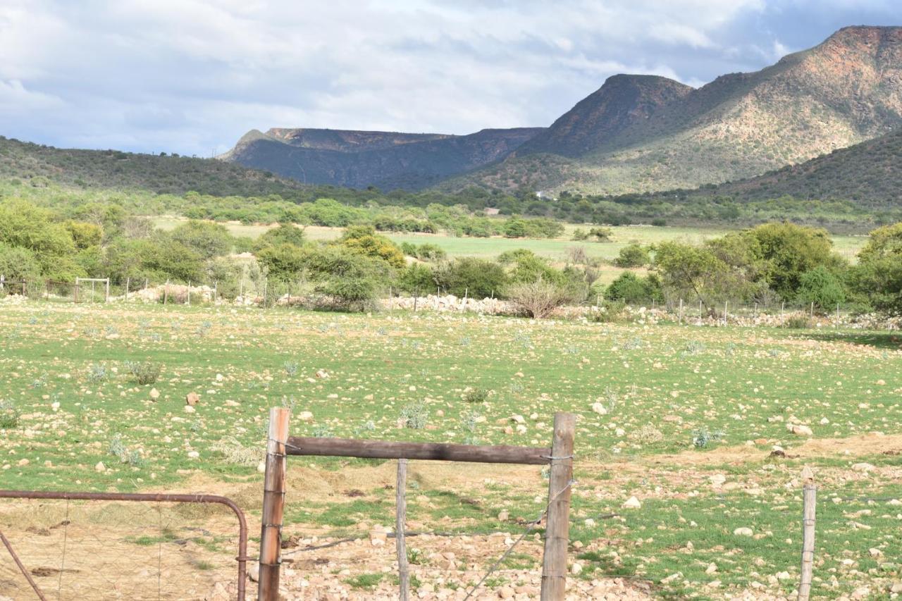 Baviaanskloof Guest Cottages Studtis Kültér fotó